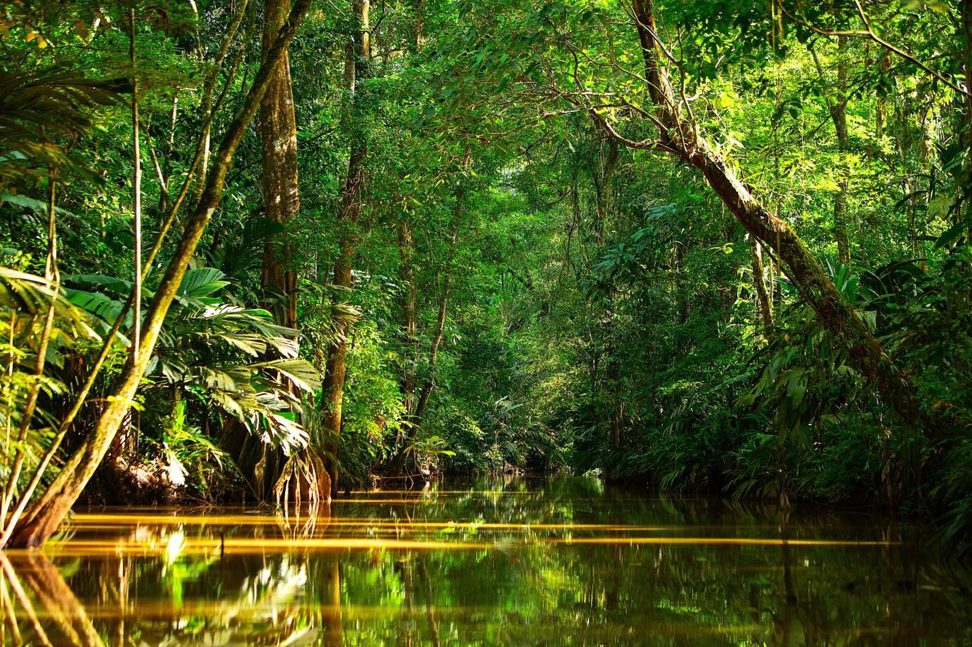 Aninga Lodge Tortuguero Ngoại thất bức ảnh