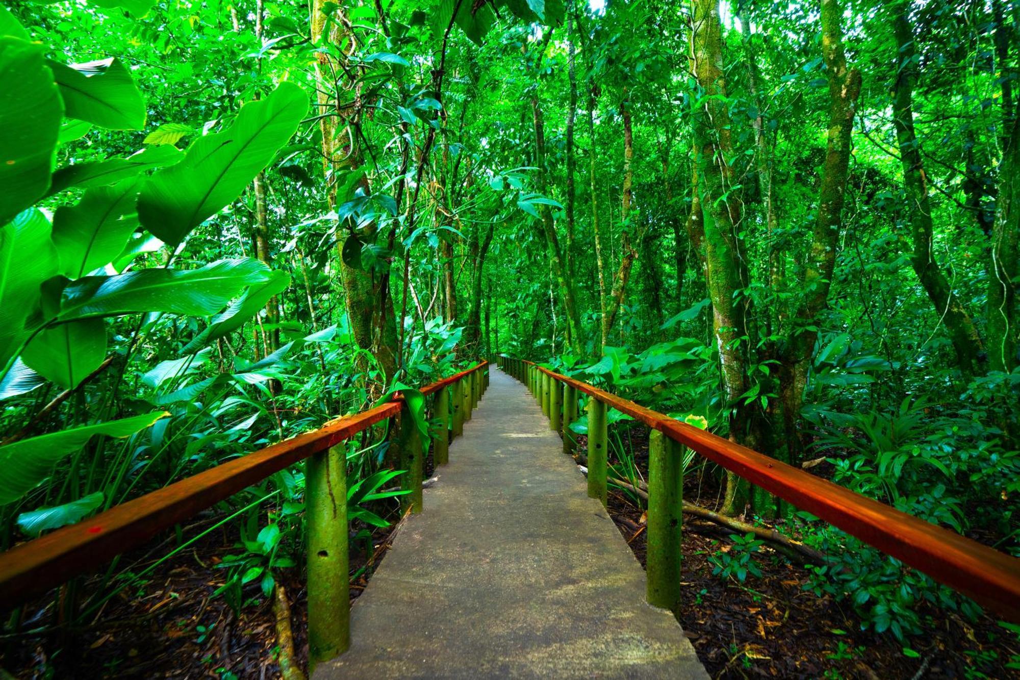 Aninga Lodge Tortuguero Ngoại thất bức ảnh