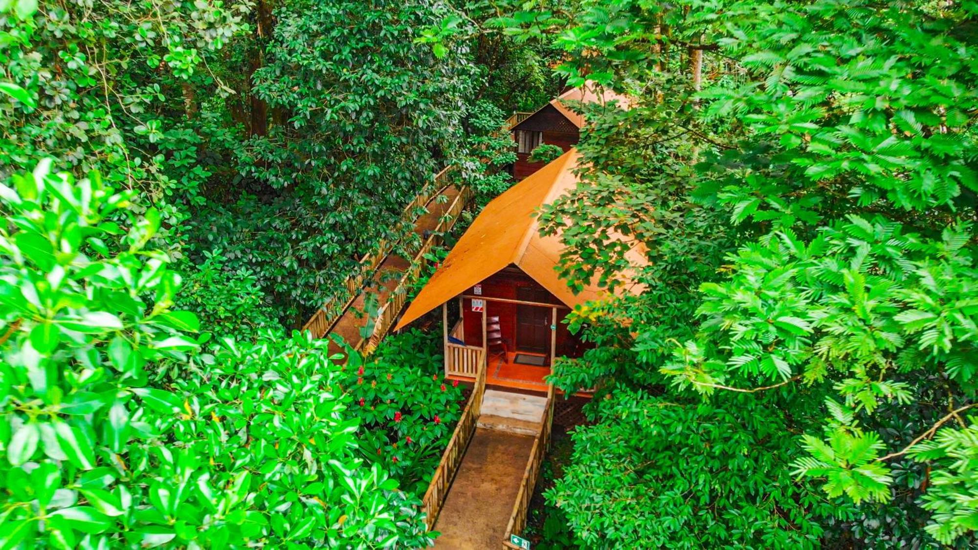 Aninga Lodge Tortuguero Ngoại thất bức ảnh