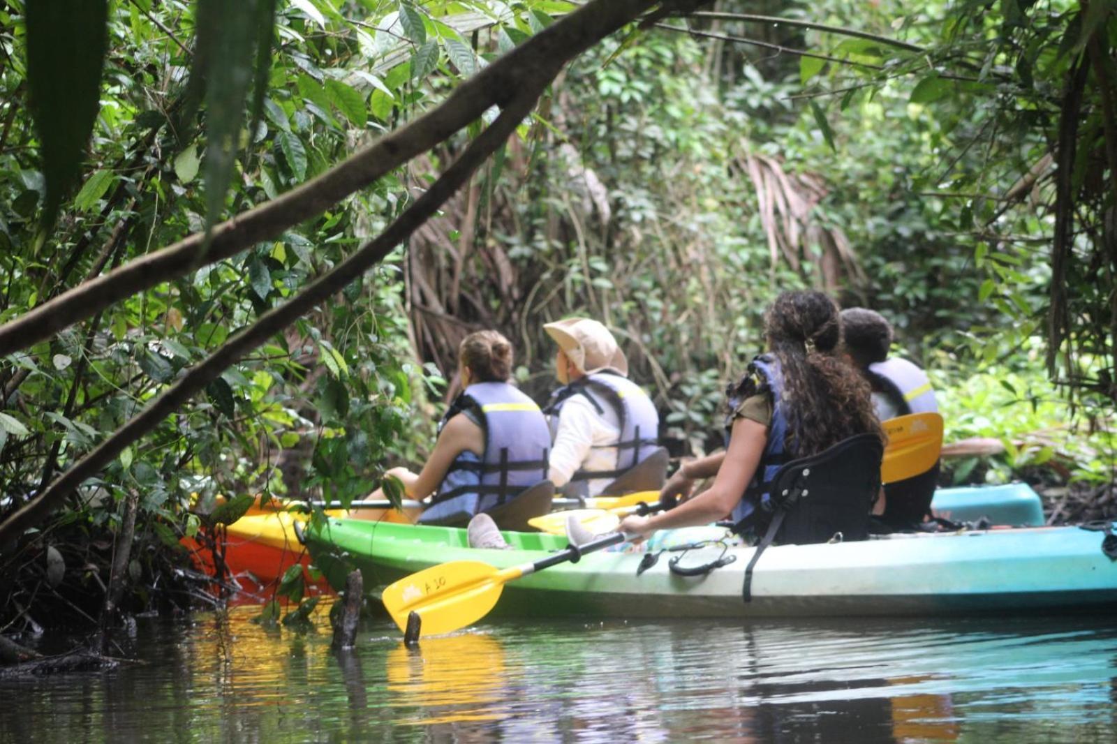 Aninga Lodge Tortuguero Ngoại thất bức ảnh
