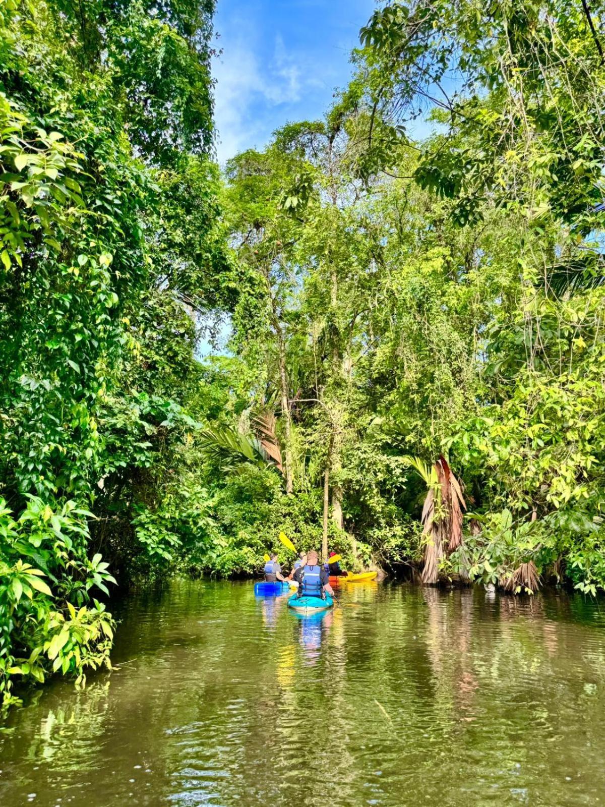 Aninga Lodge Tortuguero Ngoại thất bức ảnh